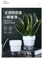 Self-Watering Magnetic Plant Pot with Cotton Rope for Garden