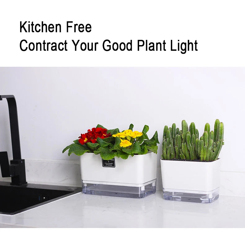 Self-Watering Magnetic Plant Pot with Cotton Rope for Garden