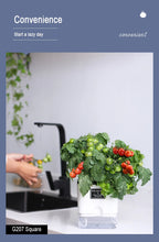 Self-Watering Magnetic Plant Pot with Cotton Rope for Garden