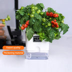 Self-Watering Magnetic Plant Pot with Cotton Rope for Garden